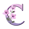 🌸