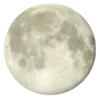 🌒