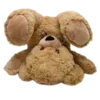 🐻