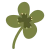 🌱