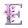 🌸
