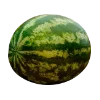🍉