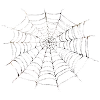 🕸