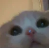 👀