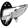 🐋