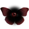 🦋