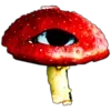 🩸