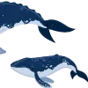 🐋