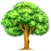 🌳