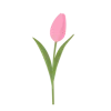🌷