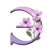 🌸