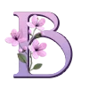 🌸