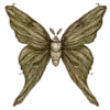 🦋