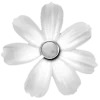 🌼
