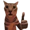 👍