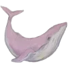 🐋