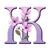 🌸