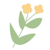 🌱