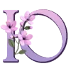 🌸