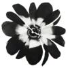 🌼