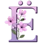 🌸