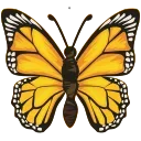 🦋