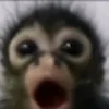 😮