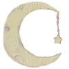 🌙