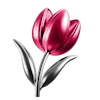 🌷