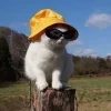 😎