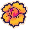 🌼