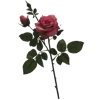 💐
