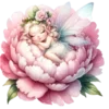 🌺