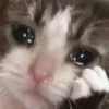 😭