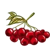 🍓
