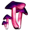 🩸