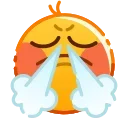 😤