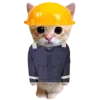 👷‍♀️