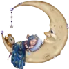 🌙