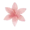 💐