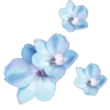 💐