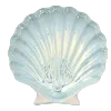 🐚