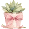 🌺