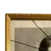 🖼️