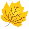 🍁