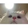 👀
