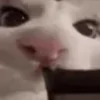 👅