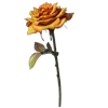 💐
