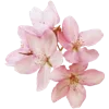 💐