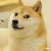 🐶